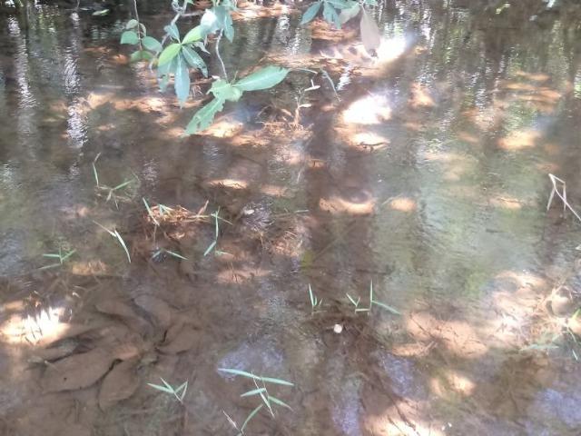 Chácara em Acorizal 38,2 hectares - Foto 3