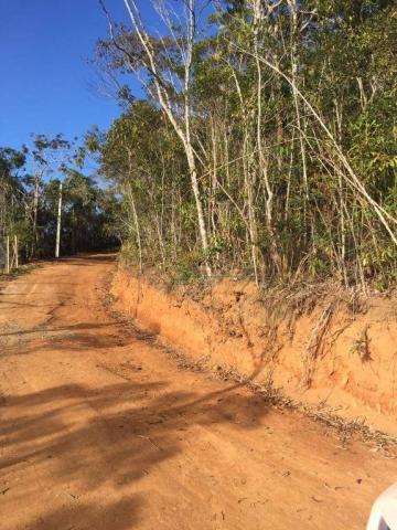 Terreno à venda, 740 m² por R$ 55.000 - Serrinha - Teresópolis/RJ - Foto 7