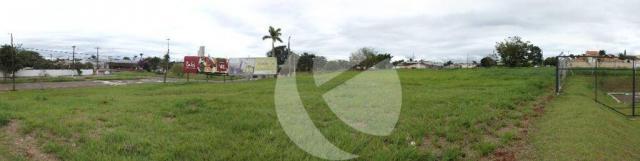 Terreno para alugar, 18000m² - Jardim São Jorge - Londrina/PR