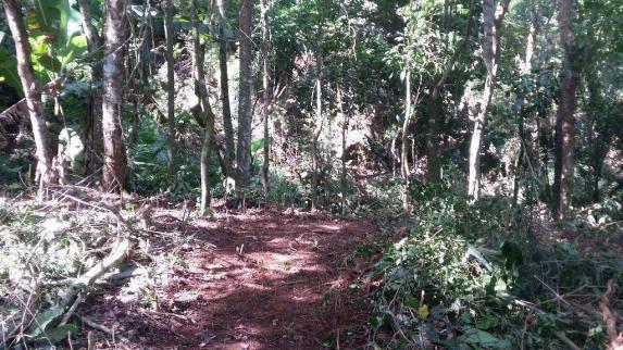 Terreno residencial à venda, Três Córregos, Teresópolis. - Foto 10