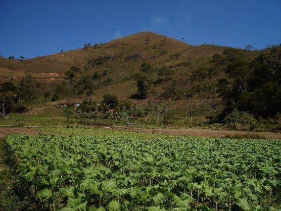 Área rural à venda, Providência, Teresópolis. - Foto 6