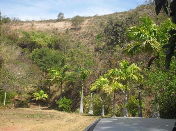 Sítio rural à venda, Bonsucesso, Teresópolis. - Foto 17