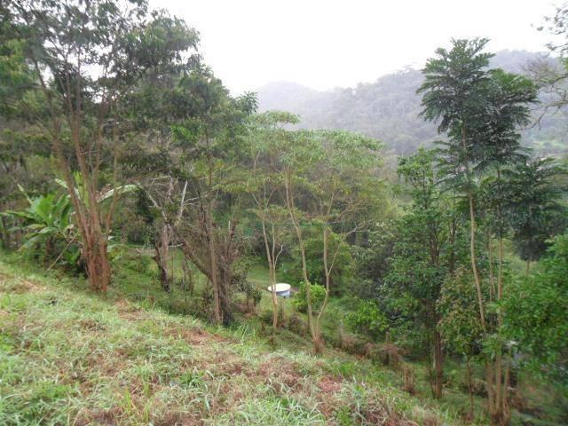 Terreno rural à venda, Fazenda Boa Fé, Teresópolis. - Foto 3