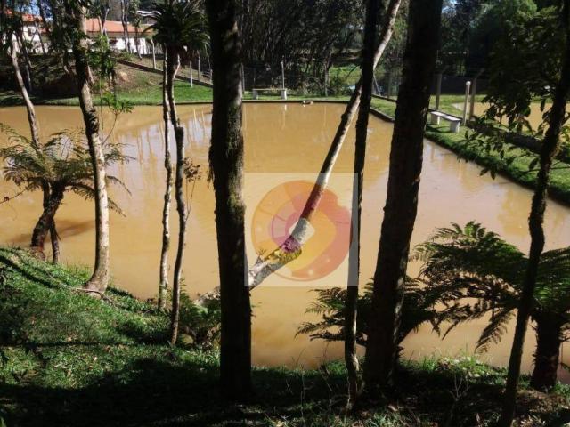 Chácara à venda, 10000 m² por R$ 650.000 - Zona Rural - Fazenda Rio Grande/PR - Foto 6