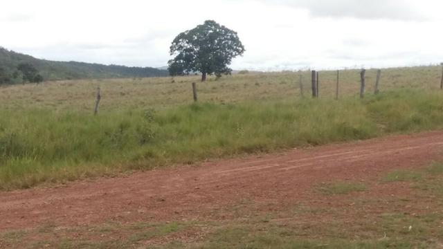 Fazenda em São João da Aliança - Foto 19