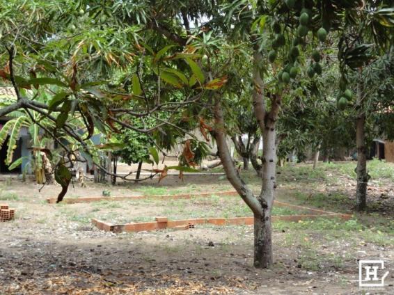 Terreno à venda - mosqueiro (zona de expansão)