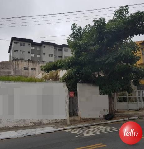 Terreno à venda em Santa maria, São caetano do sul cod:163544