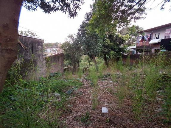 Terreno residencial à venda, rondônia, novo hamburgo. - Foto 5
