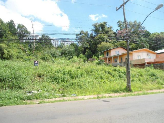 Terreno residencial à venda, rondônia, novo hamburgo.