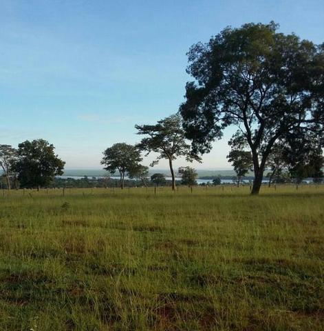 80 Alq. Pra Cana Boa De Água Bem Montada Quirinópolis GO - Foto 13
