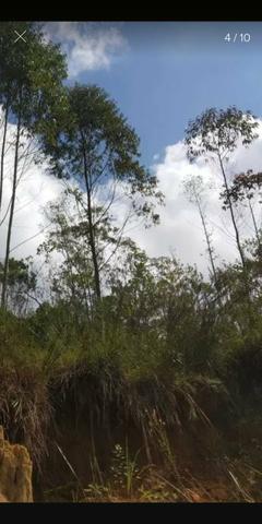 Terreno para chácara baixei pra vender - Foto 5