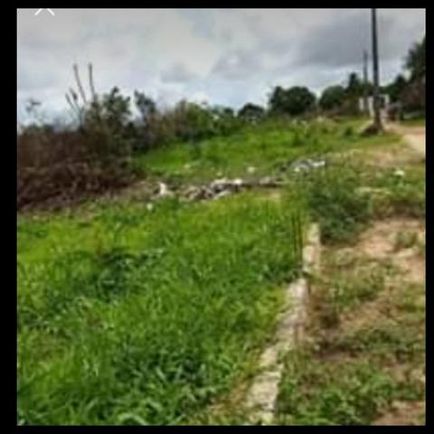 Lote no cohabiano 10