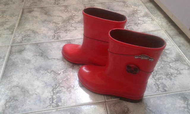 bota infantil da ladybug