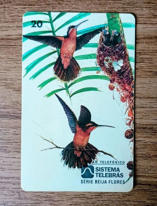 Cartão Telefônico Colecionável Balança-Rabo-Canela 