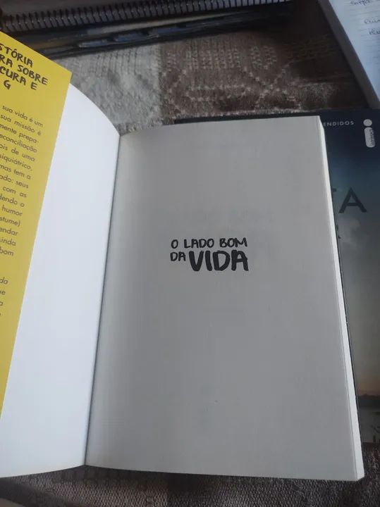 O Lado Bom da Vida - Matthew Quick - Foto 2