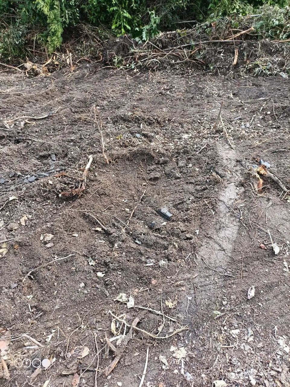 Fazenda de arrendamento 5.000 hec em Fátima no Tocantins - Foto 3