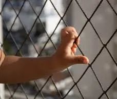 Rede de Proteção - Foto 2