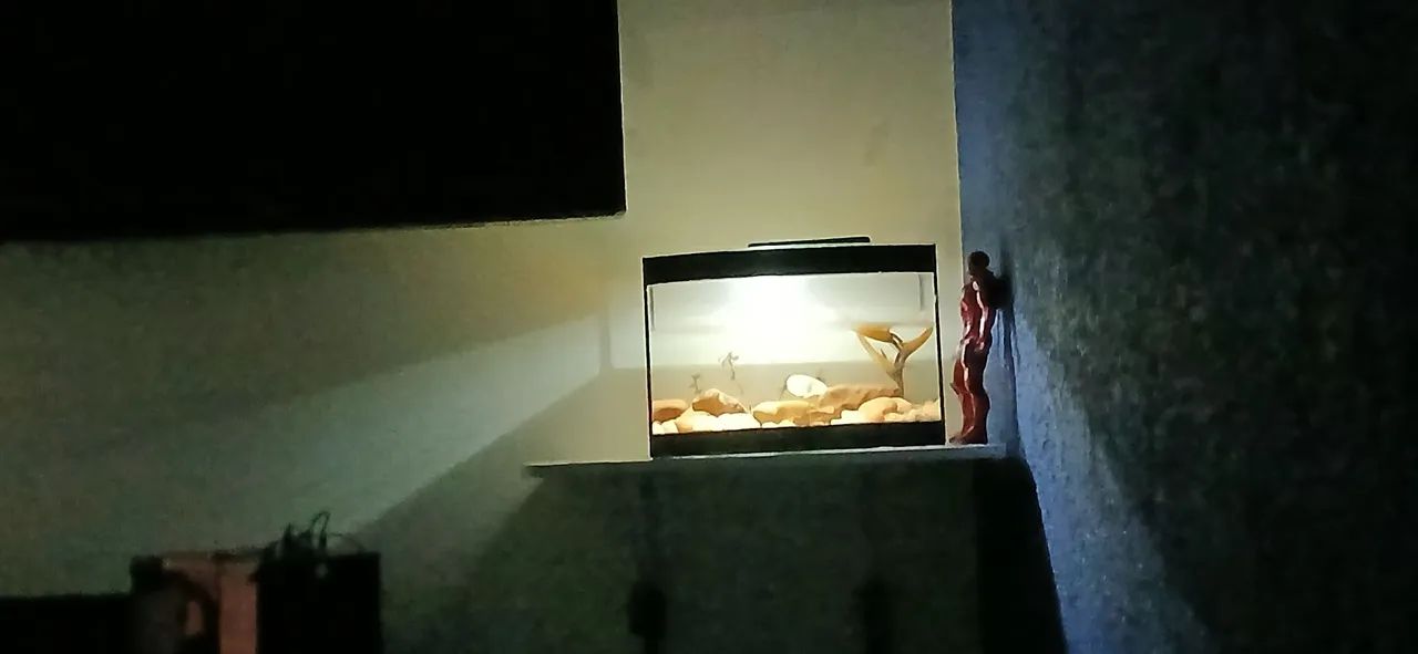 Aquário de 40 litros com plantas e pedras - Foto 3