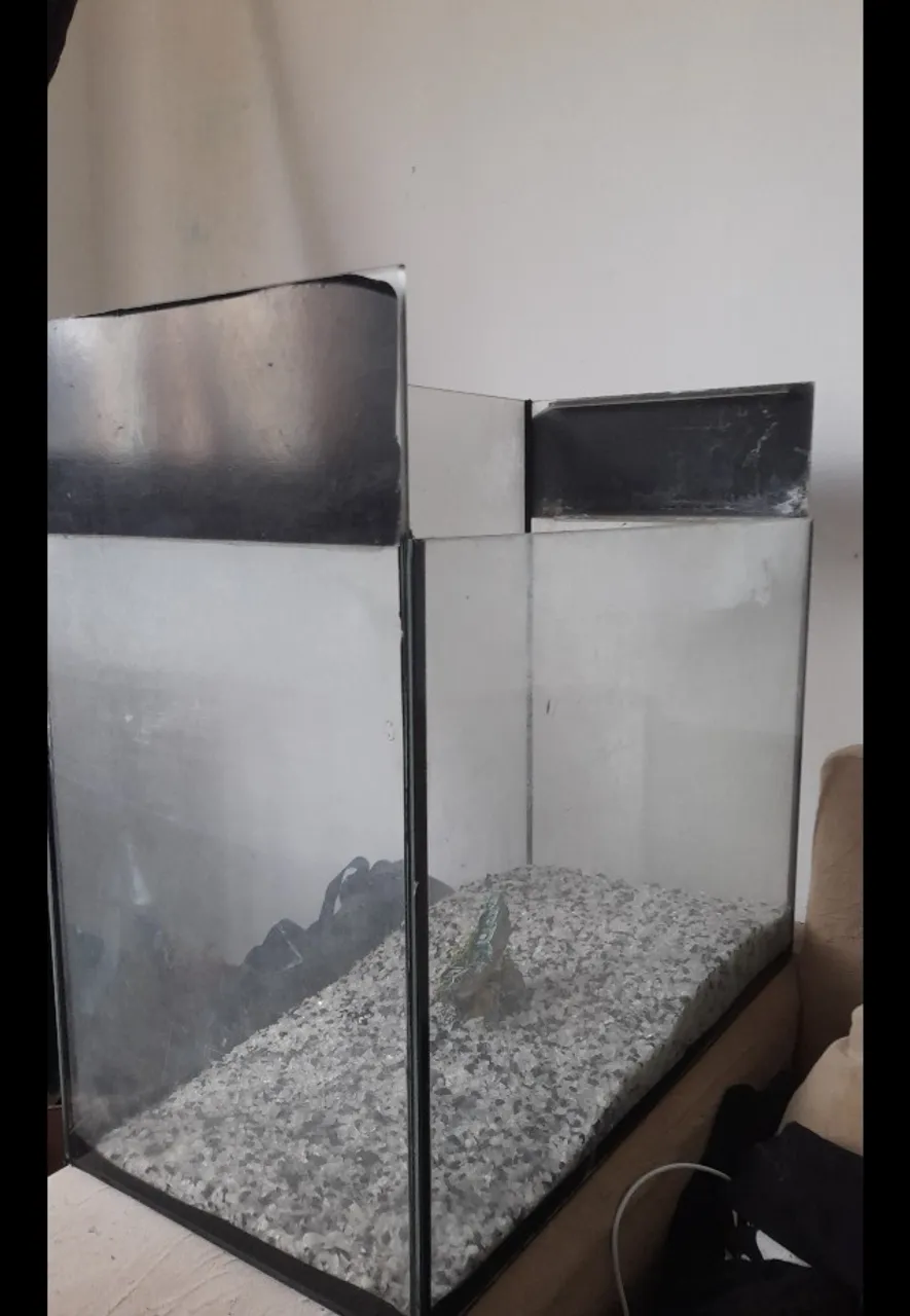Aquário 43 Litros 100 Reais