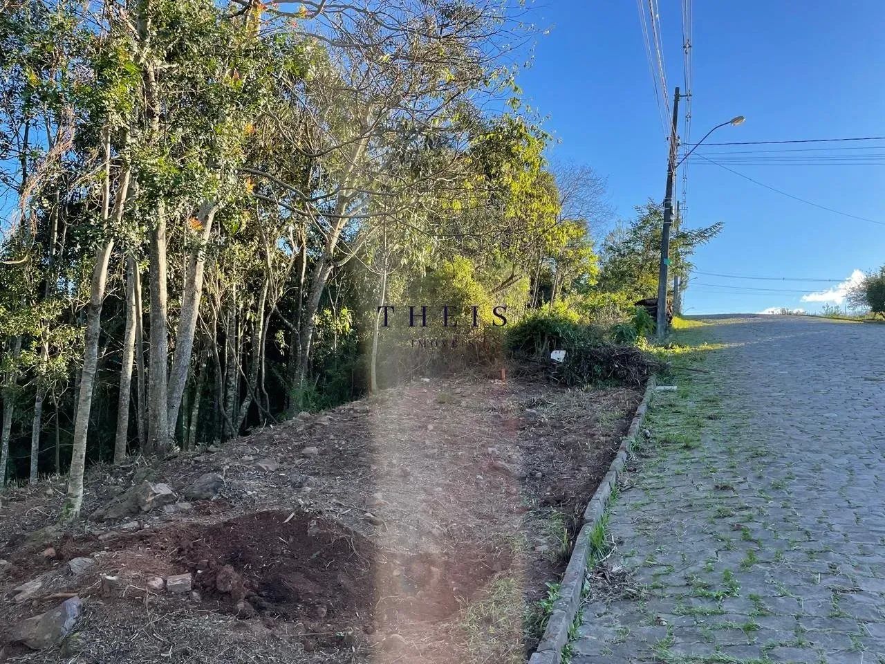 Terreno à venda no bairro São Luiz - Foto 4