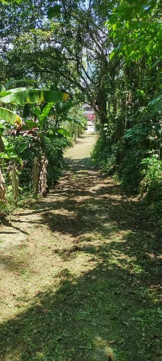 JARDINAGEM  - Foto 6