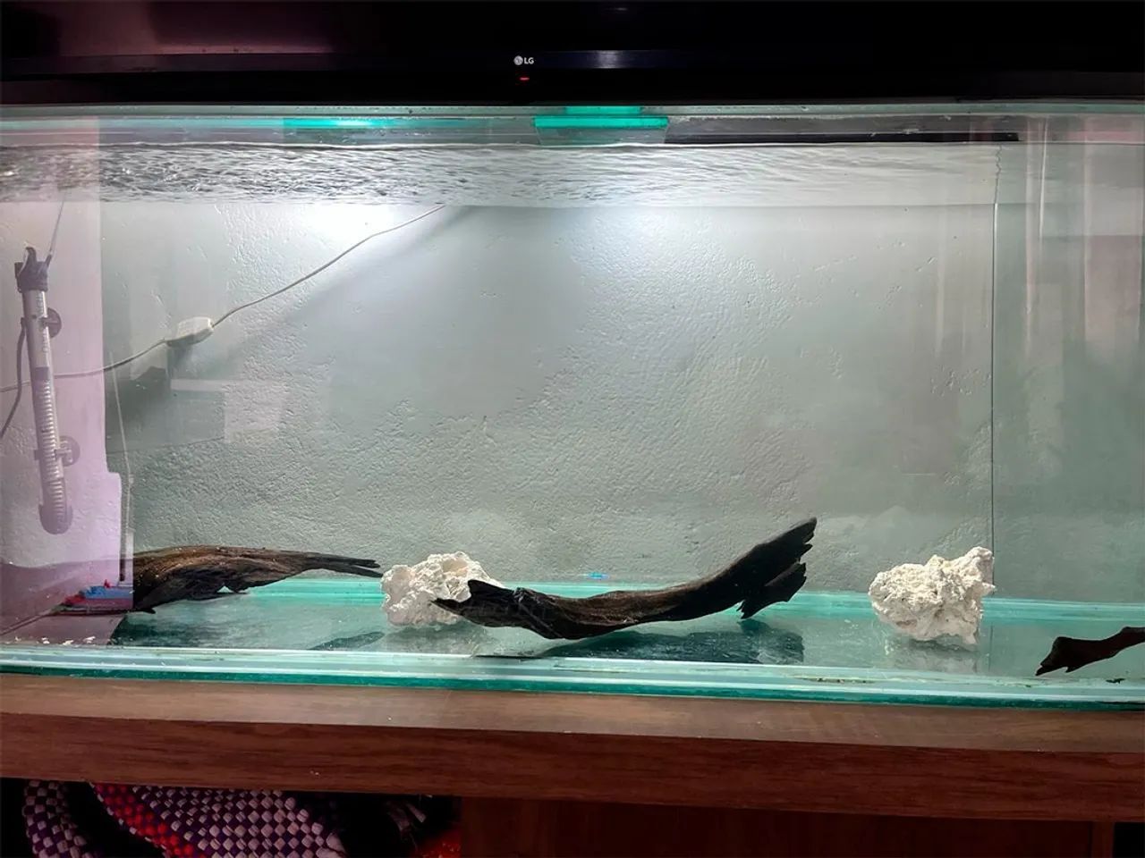 Aquário de 200 litros 