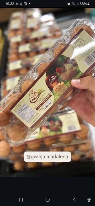 Vendo ovos caipira - Foto 4