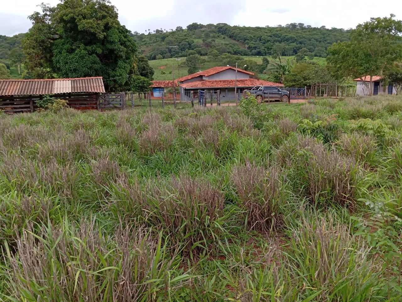 Sitio 1 Hectares Irrigado,Poço Artesiano/Caixa D'Água 50.000 Litros.. - Foto 8