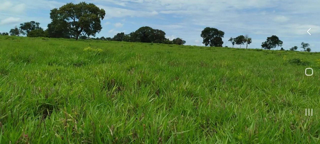 Fazenda entre Palmas to e Barrolândia to - Foto 10