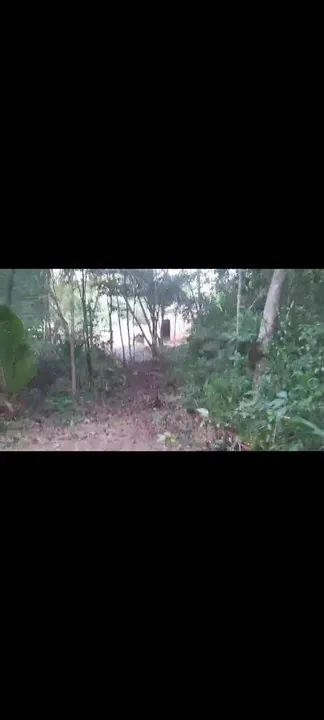 Vende ou Troca Terreno Praia do Pindobal PA  - Foto 5