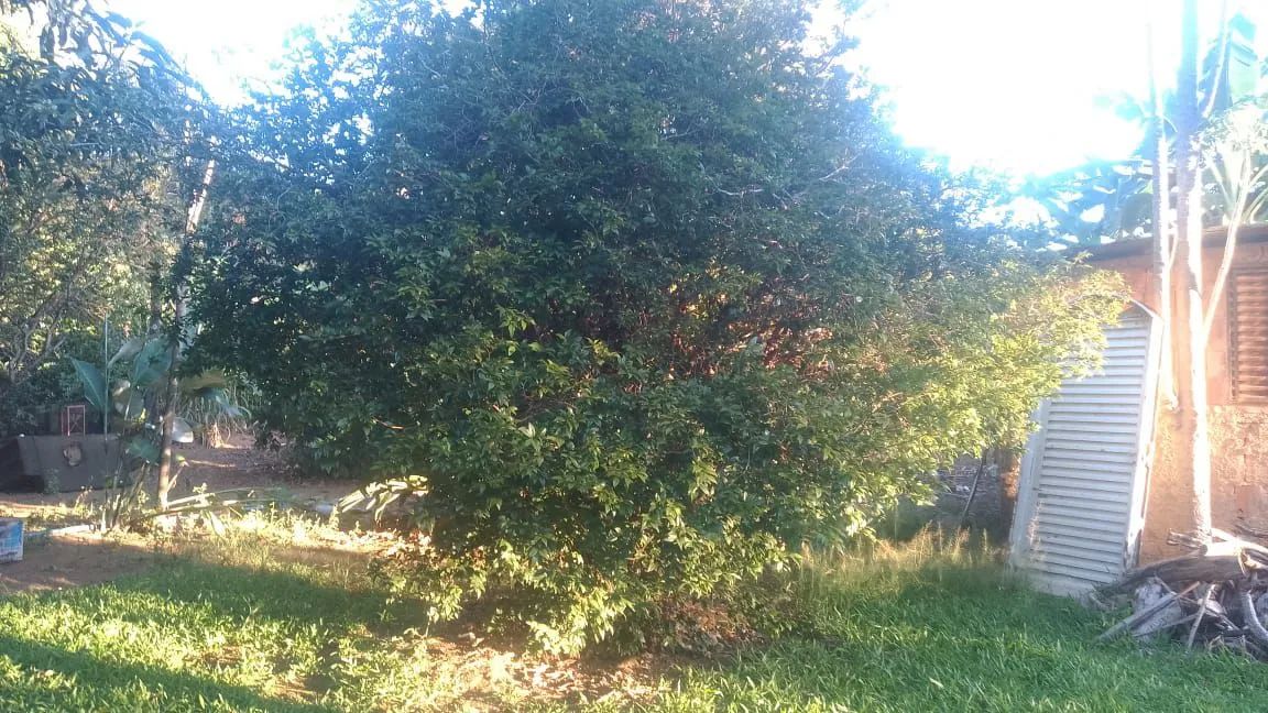 "Espaço, Verde e Simplicidade: Chácara com Casa e 3 Hectares" - Foto 5