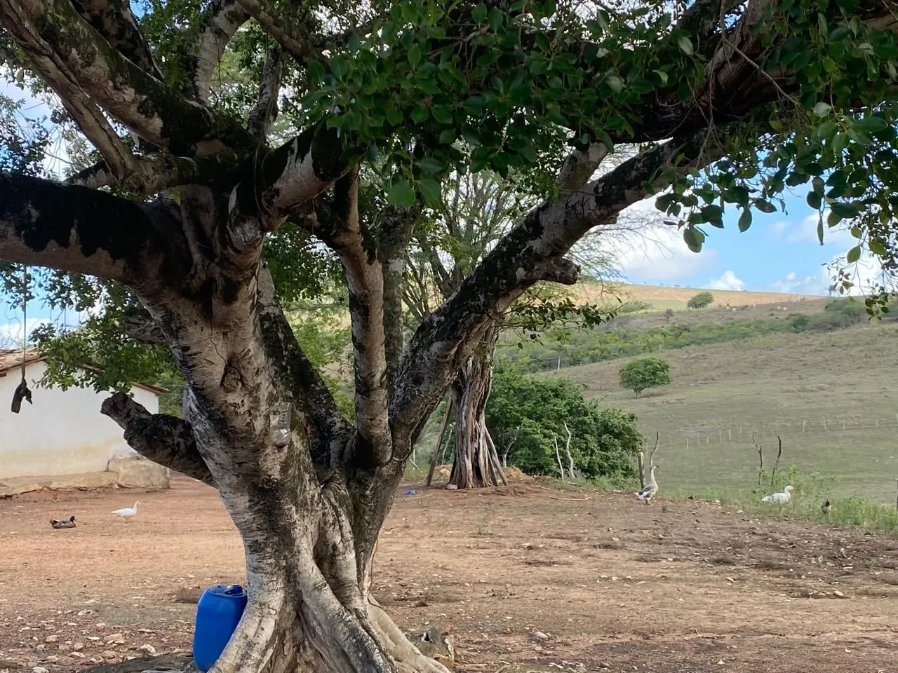 Terreno no Coité do Noia