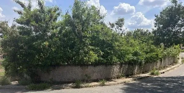 Vila Trujillo - Sorocaba - SP