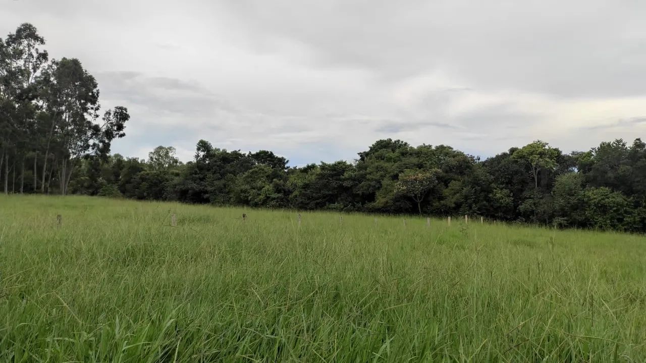 Sitio de 8 alq em Itapuranga-GO - Foto 5