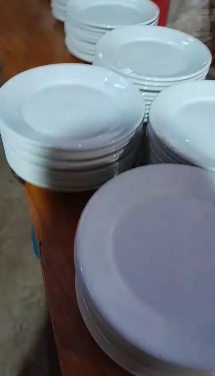 Pratos de Porcelana lote