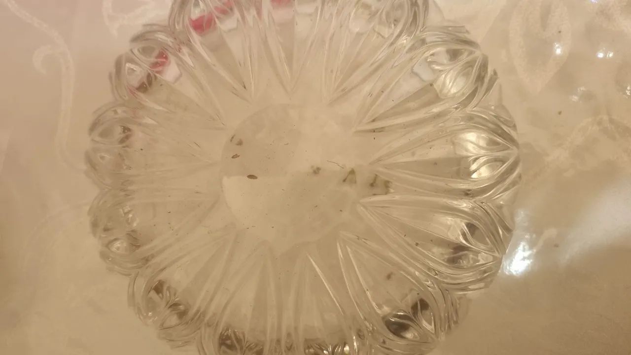 Fruteira de Cristal Decorativa - Foto 3