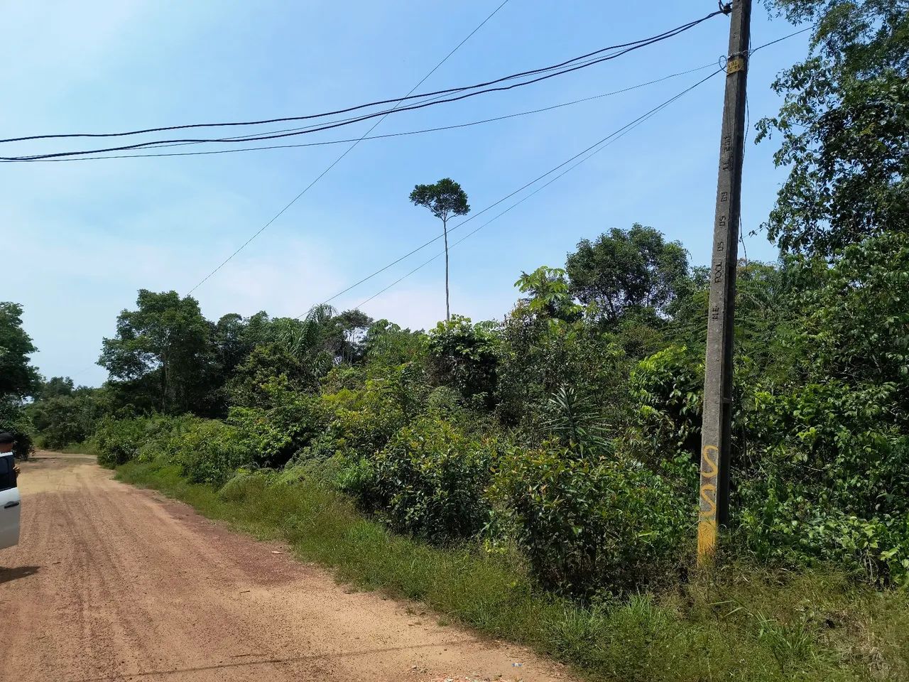 Foto - Manaus - Monte das Oliveiras