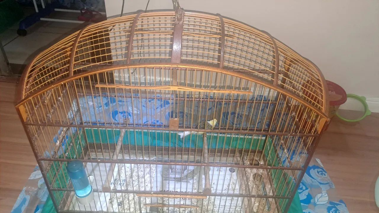 Gaiola abaulada N9 em fibra malha fina para curió bicudo azulão canário coleiro. - Foto 4