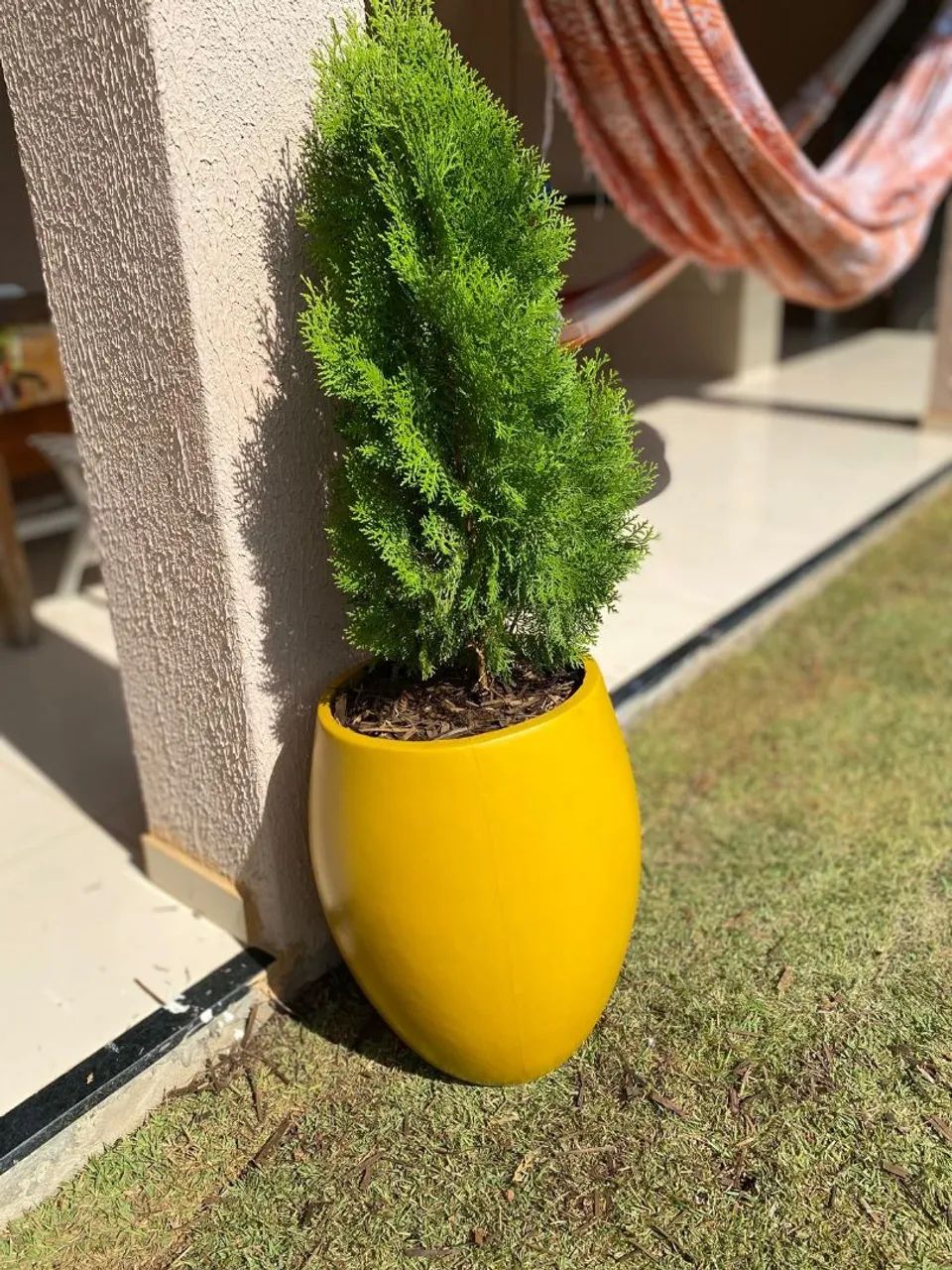 Jarro com planta - Foto 2