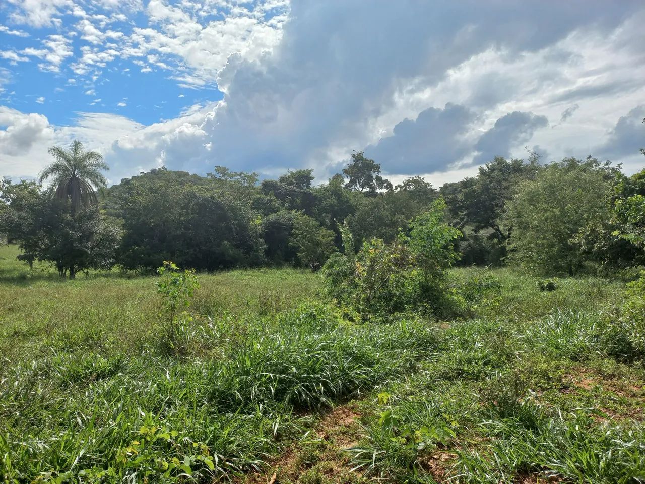 Terreno 40 hectares em Funilândia MG  - Foto 4