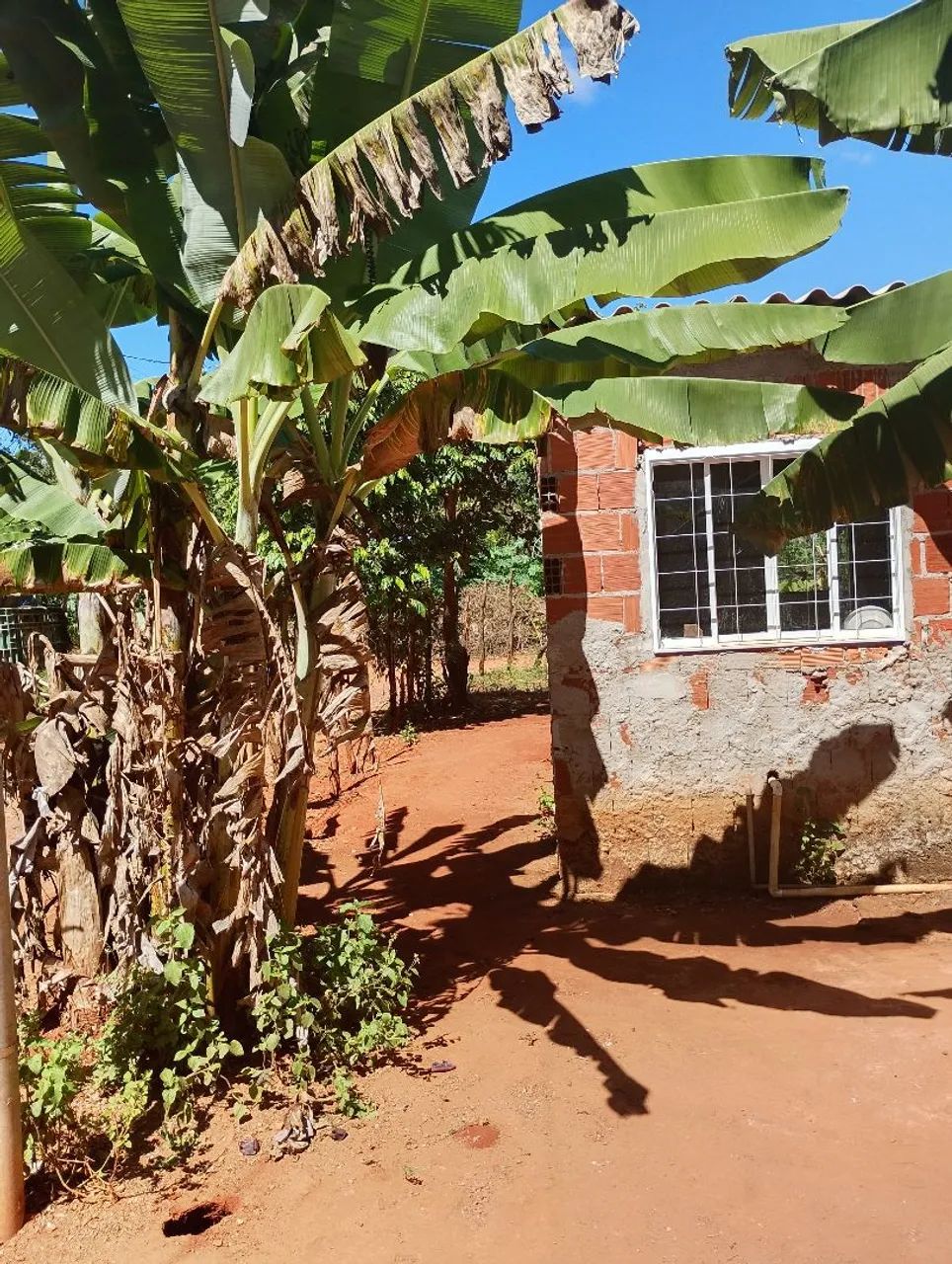 Vende se chácara  - Foto 2