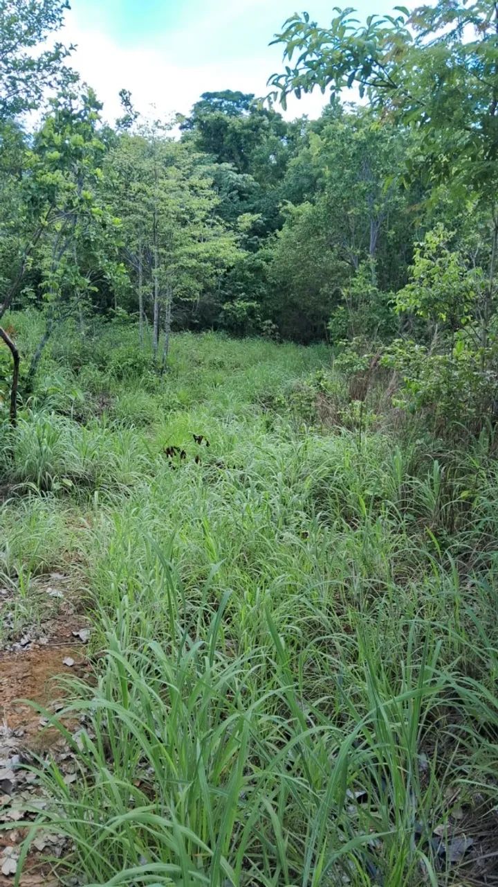 Compro casa ou apartamento a base de permuta  - Foto 3