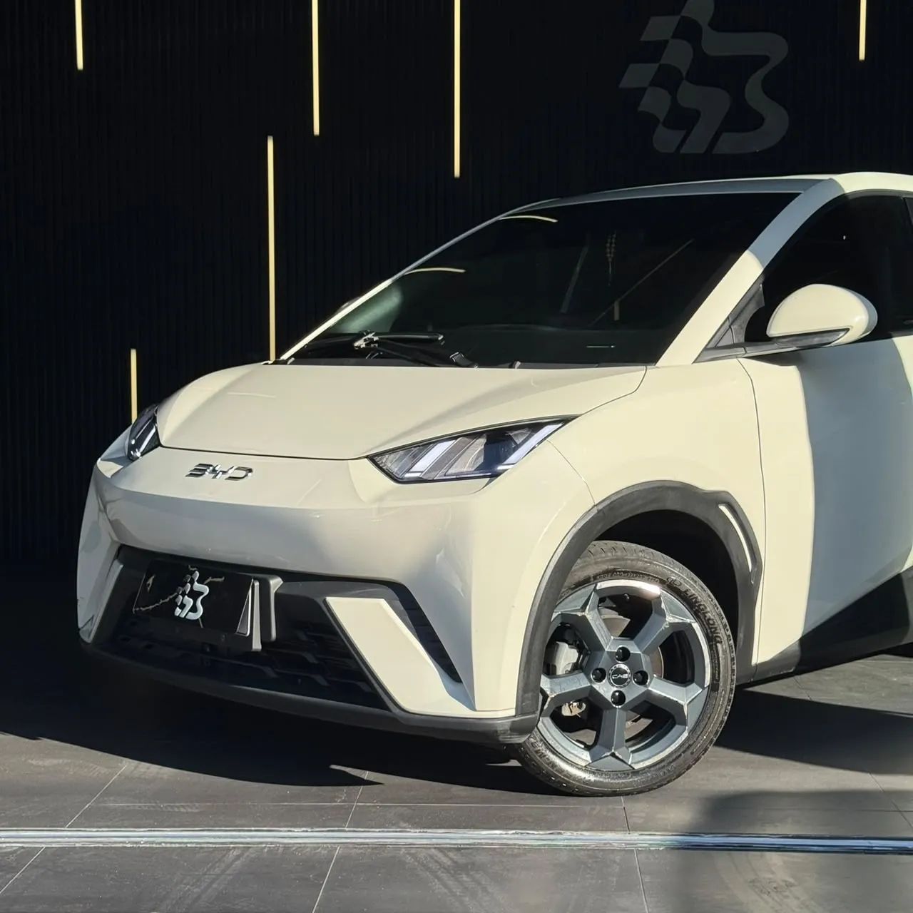 BYD Dolphin GS (Elétrico) 2025 - Foto 2