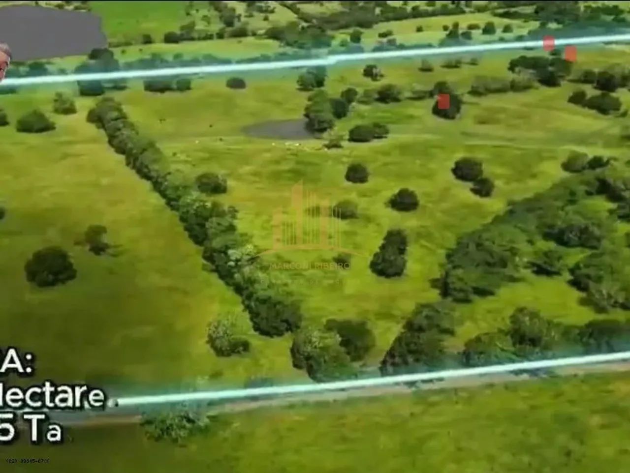 Sítio para Venda em Palmeira dos Índios, Área Rural de Palmeira dos Índios - Foto 10