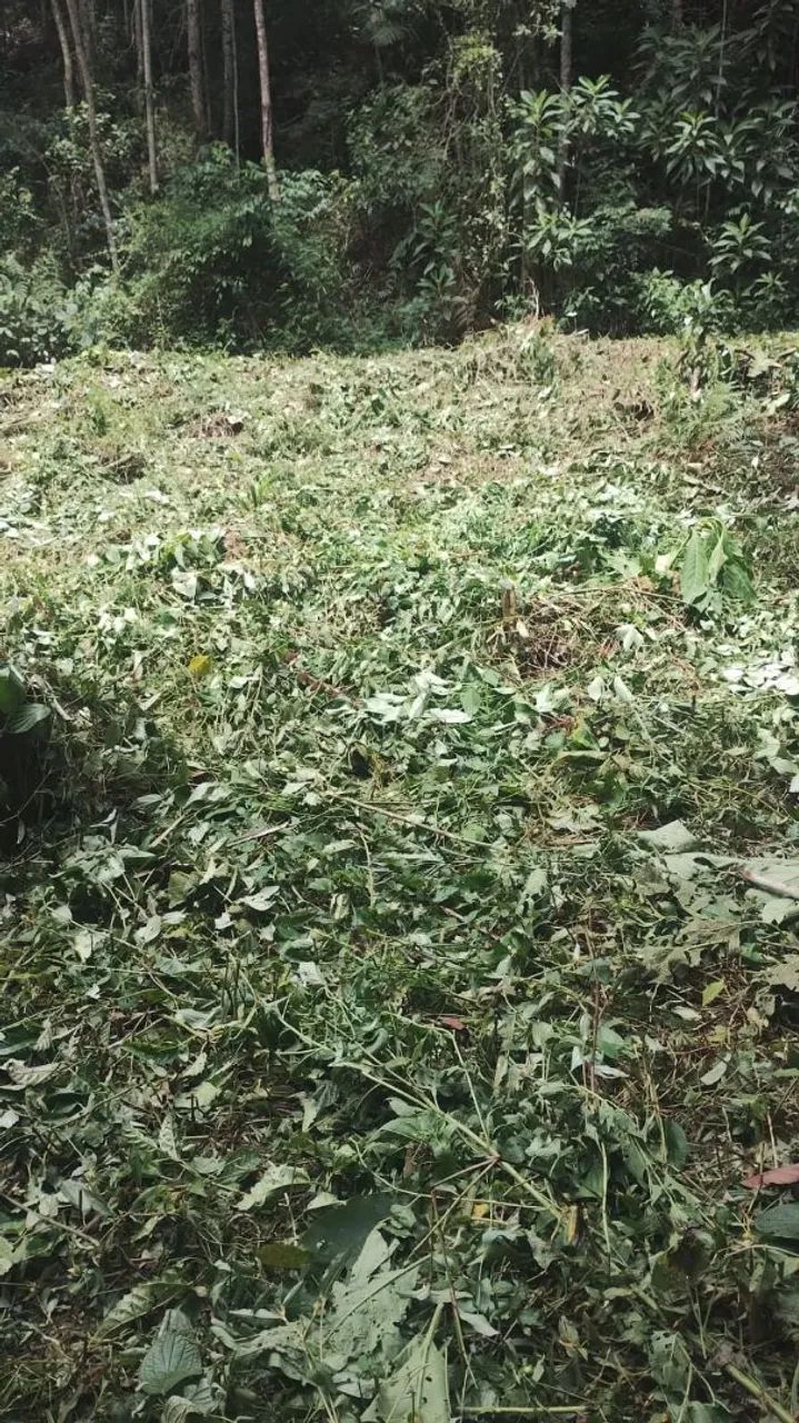 Terreno com area para plantio e agua ,escriturado e registrado  - Foto 4