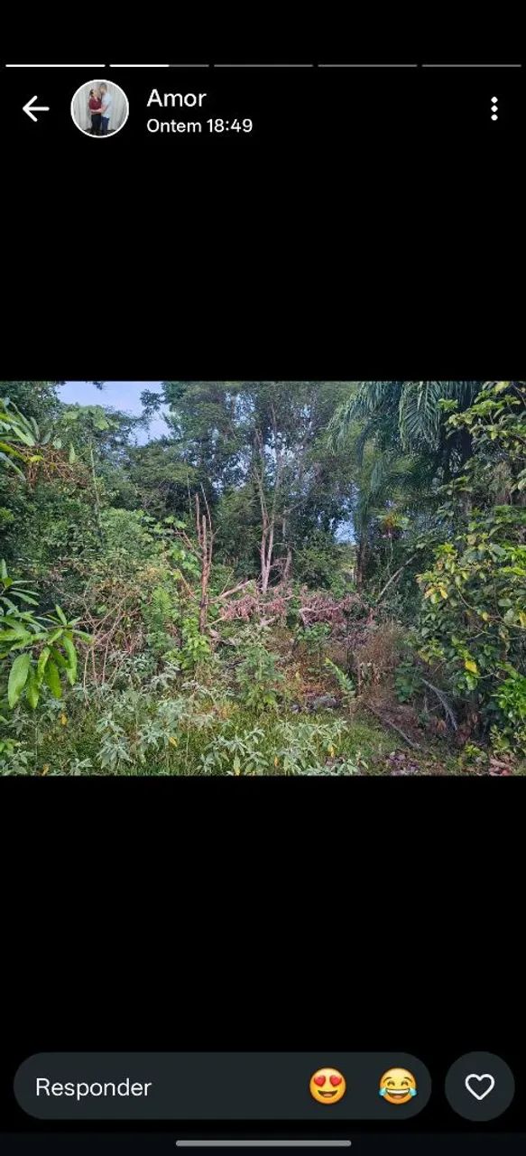 Chácara km 22/Sentido Jaci Paraná  - Foto 5