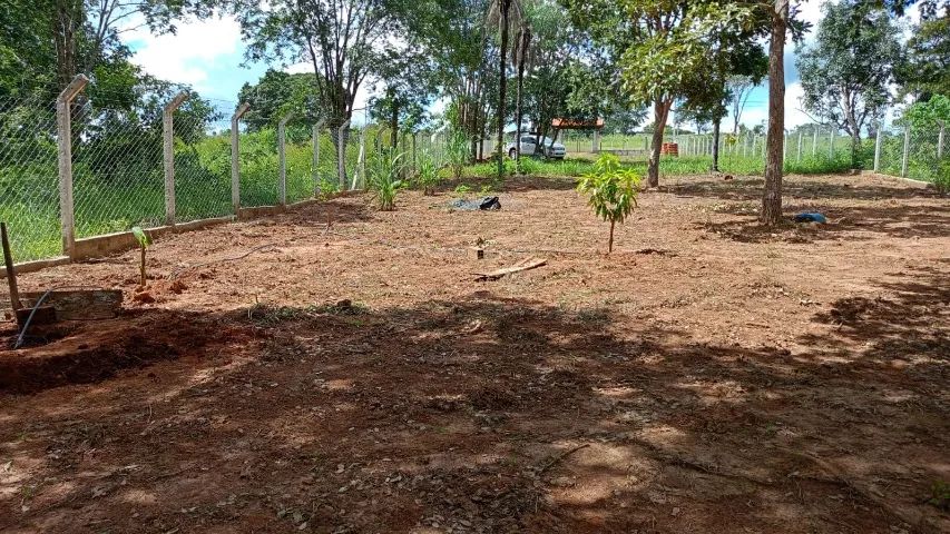 Vende-se chácara no Rochedo  - Foto 2