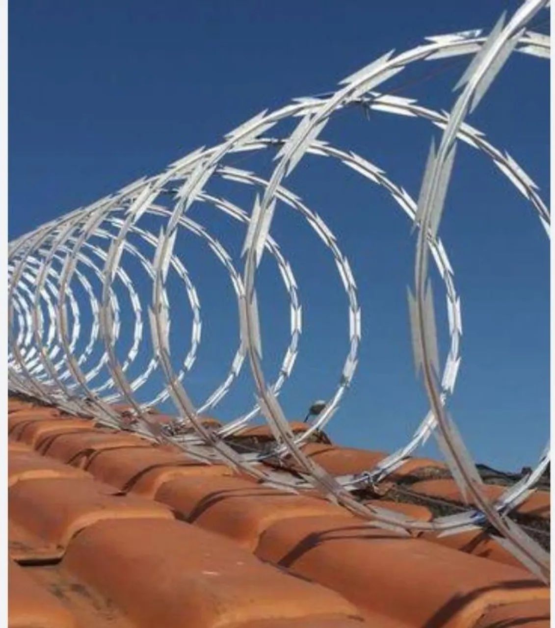 Cerca Elétrica e Concertina Aspiral  - Foto 2