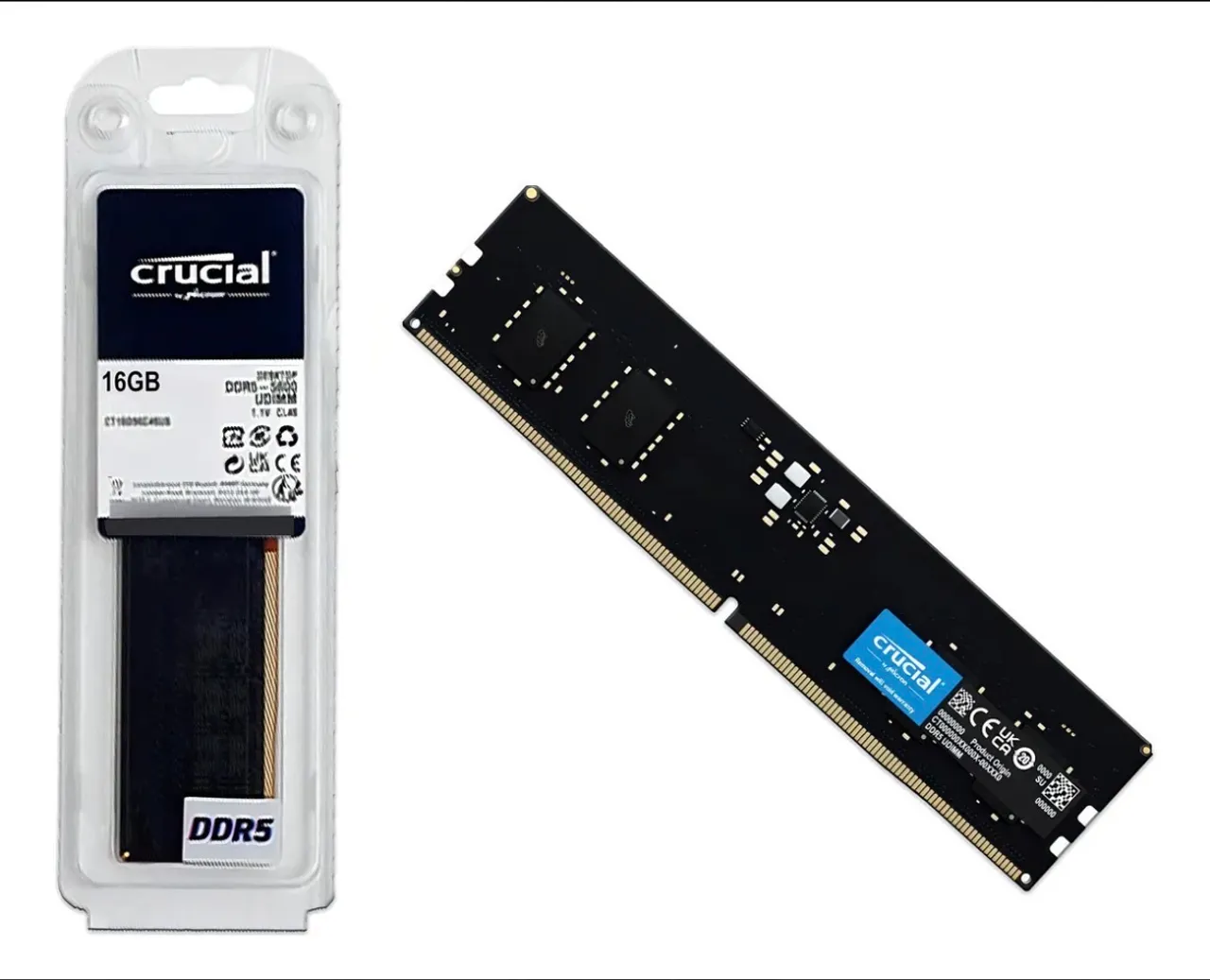 Memória 32 GB DDR5 5600 Crucial Nova - Memória RAM - Maguari