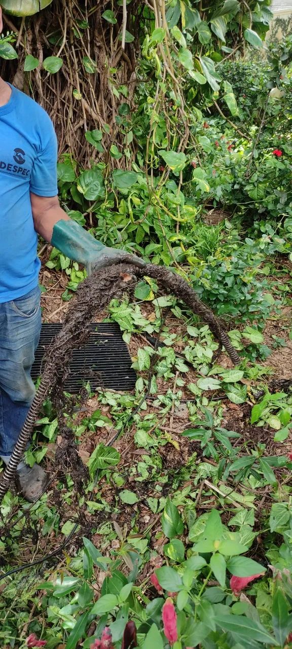 Desentupimento com Remoção de Raízes em Campinas - Foto 4